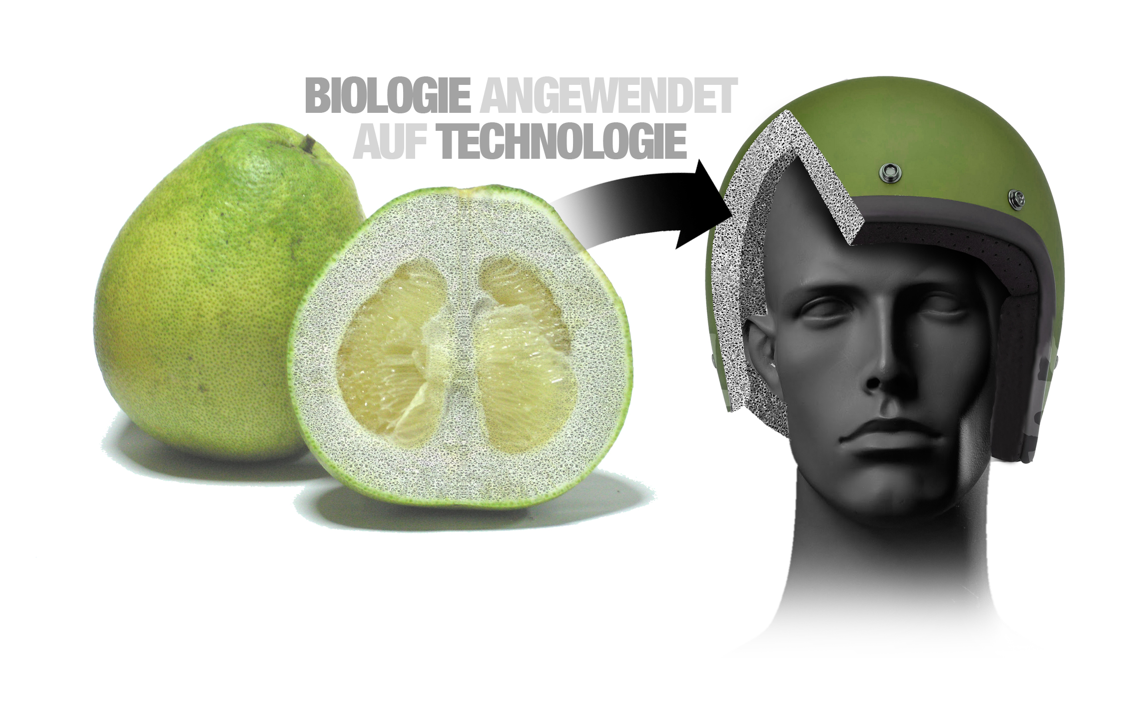 Inspired by nature: New body protection for BMW employees